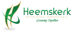 Heemskerk Logo v2 300x139