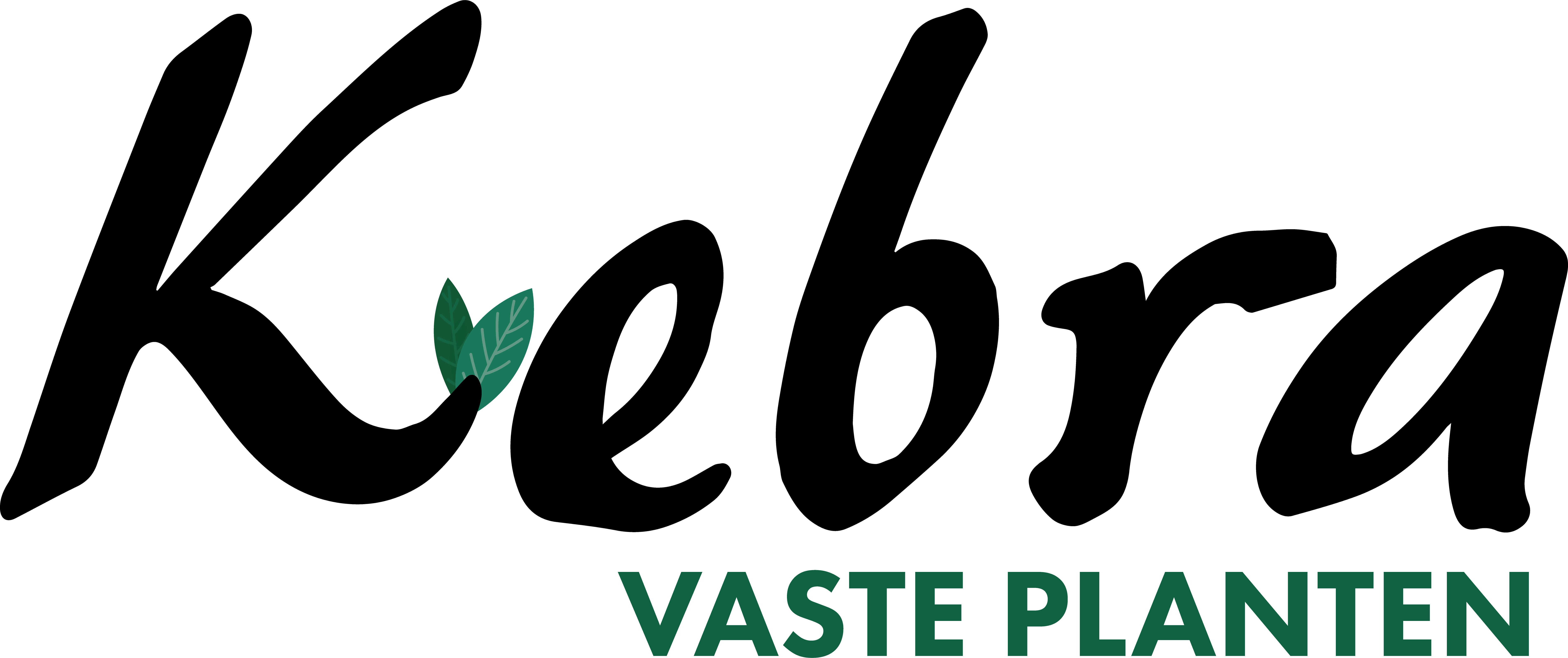 Kebra ZwartGroen transparant